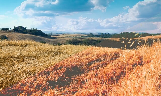 40个设计师必备的免费资源网站[请永久珍藏]