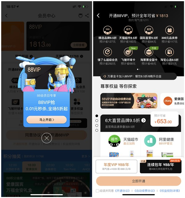 88元开通淘宝88VIP年费会员_需开通连续包年_仅限部分用户 88元开通淘宝88VIP年费会员 需开通连续包年 仅限部分用户