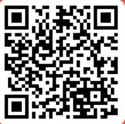 淘宝双11喵糖总动员组队瓜分20亿红包