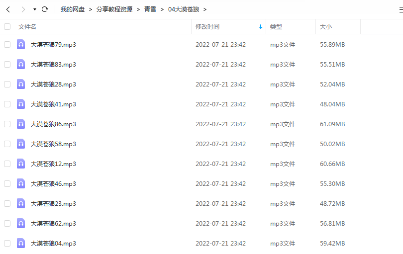 《大漠苍狼》 青雪故事2010 百度云