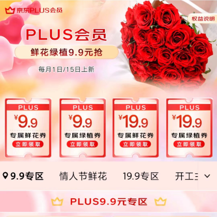 京东plus鲜花特权 每月1束9.9元定制鲜花/绿植 包邮