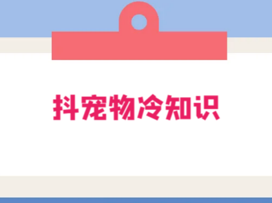 不起眼的抖音细分赛道 · 宠物冷知识:一段宠物视频配文案,有人靠这个月入 10w