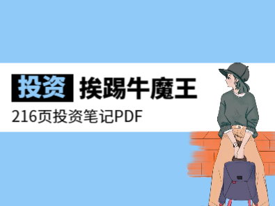 挨踢牛魔王216页投资笔记PDF