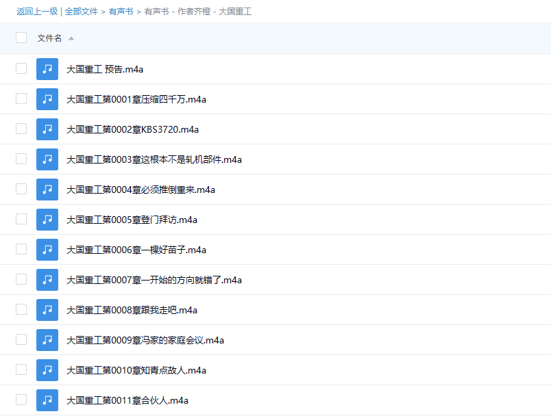 【有声书】《大国重工》 作者：齐橙