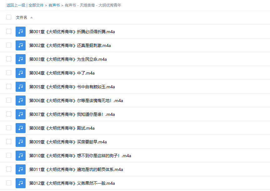 【有声书】《大明优秀青年》 精品多人有声剧