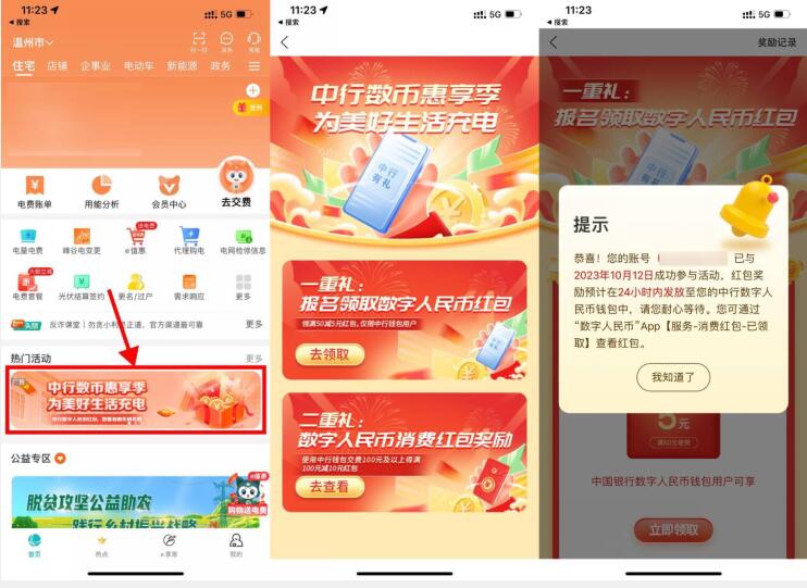 网上国网中行数币45充50元电费