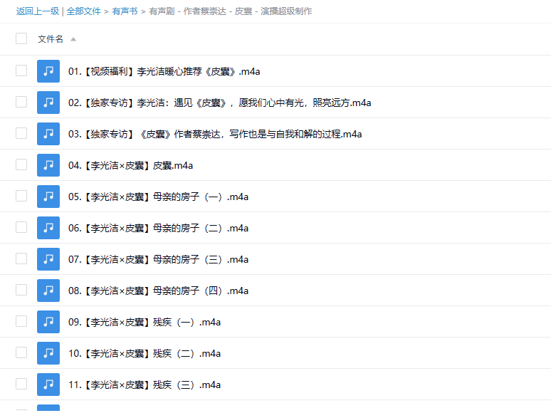 【有声书】《皮囊》 李光洁 温暖播讲