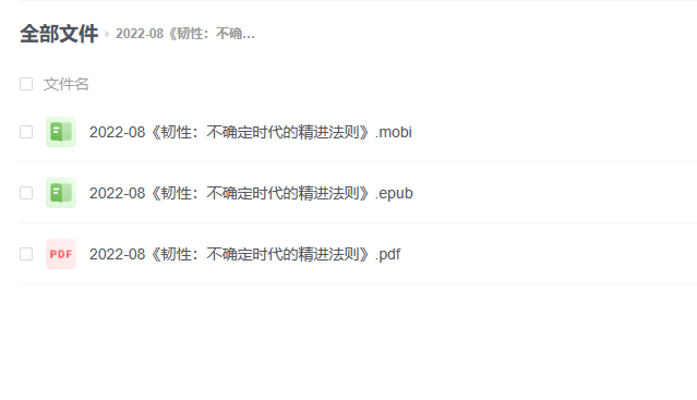 【电子书】《韧性：不确定时代的精进法则》