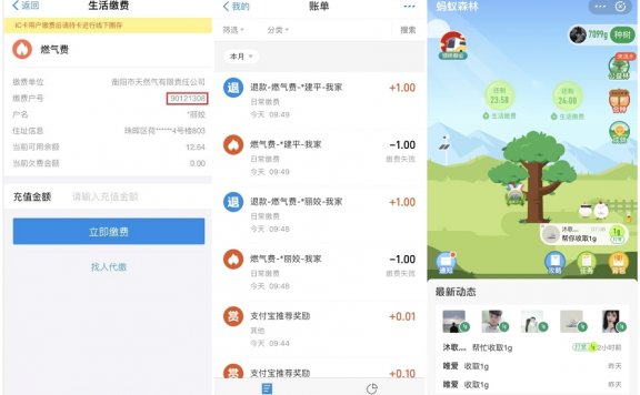 支付宝利用生活缴费bug 领蚂蚁森林能量值