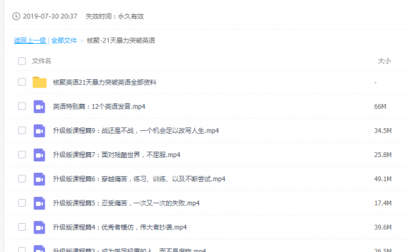 核聚-21天暴力突破英语