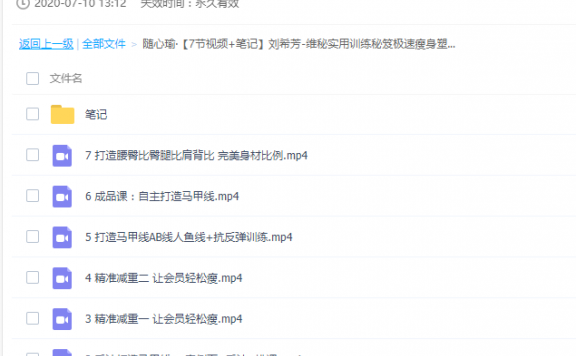 维秘实用训练秘笈极速瘦身塑型系列2