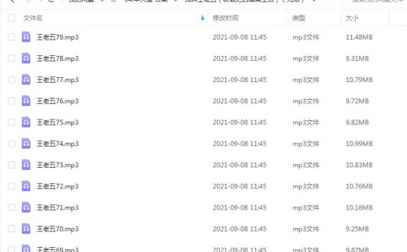《我叫王老五(收破烂的爆笑生活)(完结)》 牛大宝 百度云