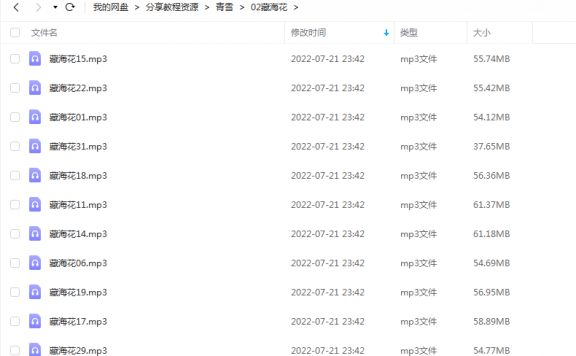 《藏海花》 青雪故事2010 百度云