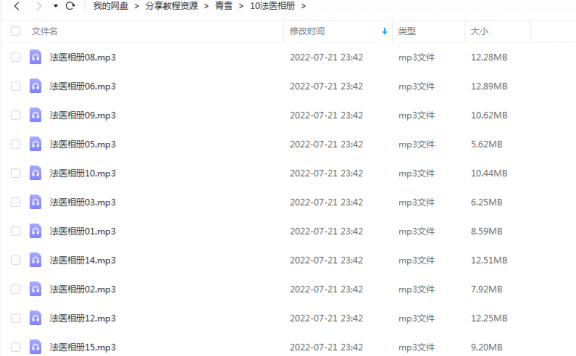 《法医相册》 青雪故事2010 百度云