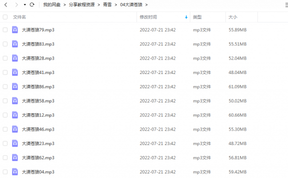《大漠苍狼》 青雪故事2010 百度云
