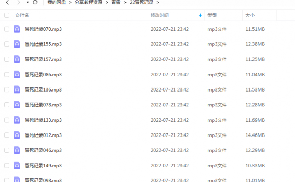 《冒死记录》 青雪故事2010 百度云
