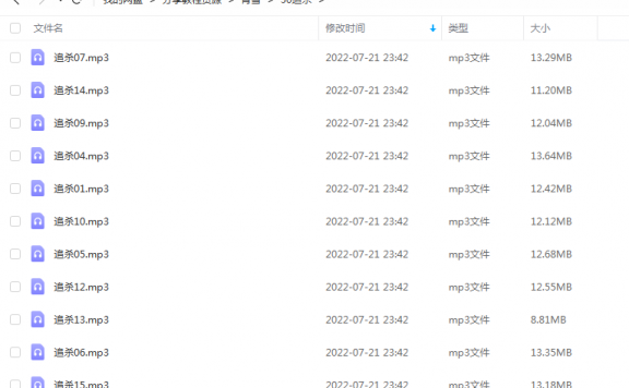 《追杀》 青雪故事2010 百度云