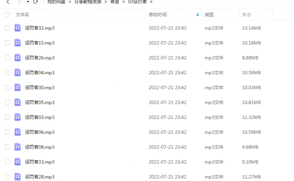 《惩罚者》 青雪故事2010 百度云