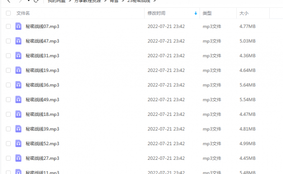 《秘密战线》 青雪故事2010 百度云