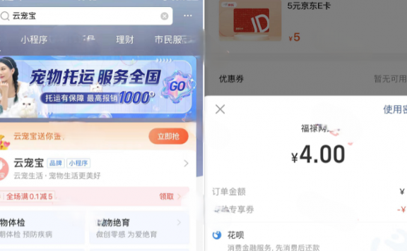 支付宝领5-优惠券,最低零撸5元仅京东E卡