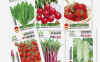 【蔬菜种子四季】到手价只要1.18元/包