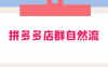 拼多多店群自然流玩法：轻松月入 1W+ 保姆级视频教程（附上货、拍单工具）