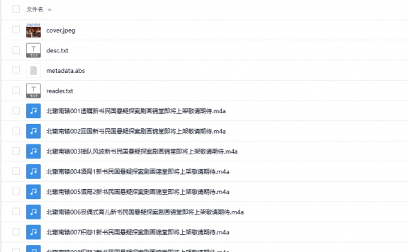 【有声书】《北辙南辕》 冯小刚执导 影视原著 多人有声剧