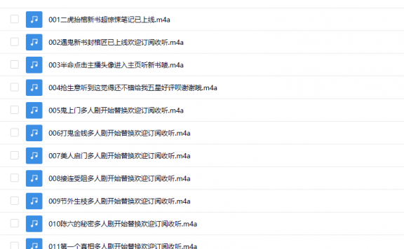 【有声书】《大先生》 苗棋淼神作 恐怖悬疑灵异 多人有声剧