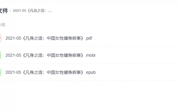 【电子书】《凡身之造：中国女性健身叙事》