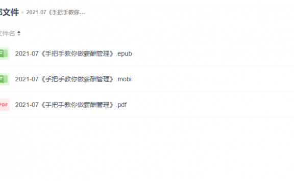 【电子书】《手把手教你做薪酬管理》