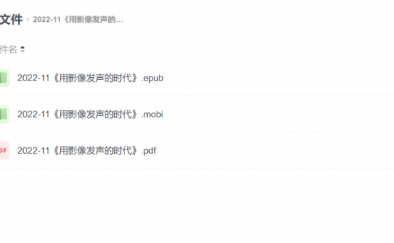 【电子书】《用影像发声的时代》