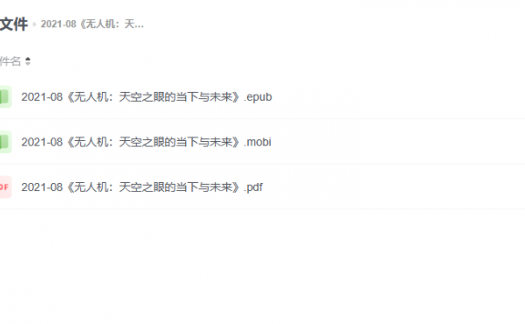 【电子书】《无人机：天空之眼的当下与未来》