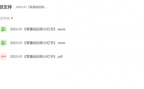 【电子书】《零基础玩转小红书》