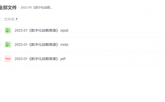 【电子书】《数字化战略推演》